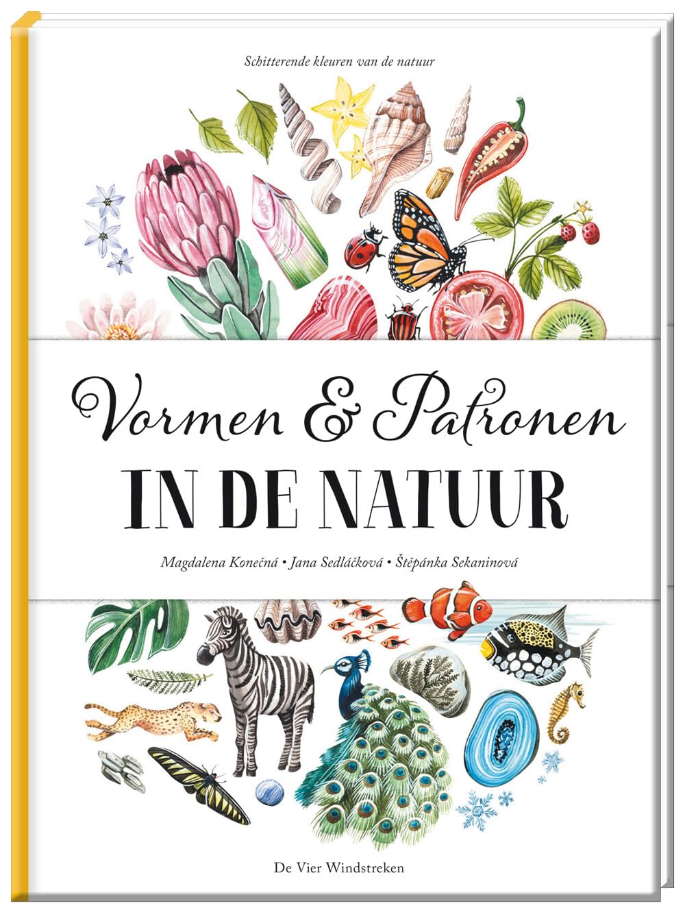 Vormen & patronen in de natuur book