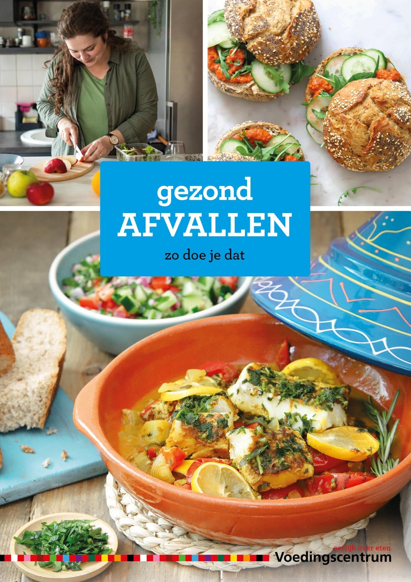 Gezond afvallen: zo doe je dat : met heerlijke recepten, dagmenu's en calorietabel book
