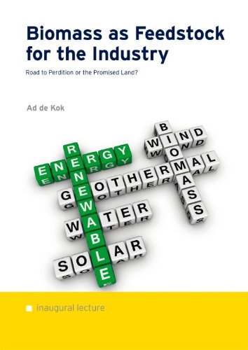 Biomass as feedstock for the industry: road to perdition or the promised land? book