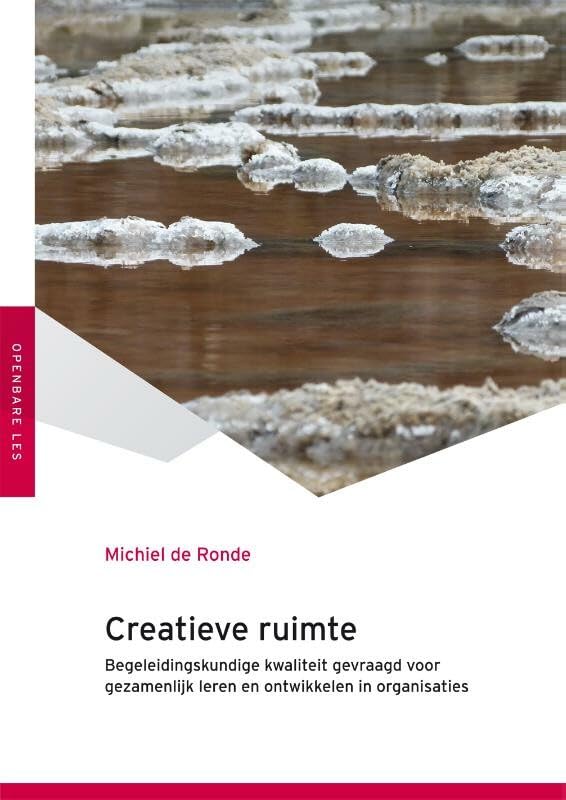 Creatieve ruimte: begeleidingskundige kwaliteit gevraagd voor gezamenlijk leren en ontwikkelen in organisaties book