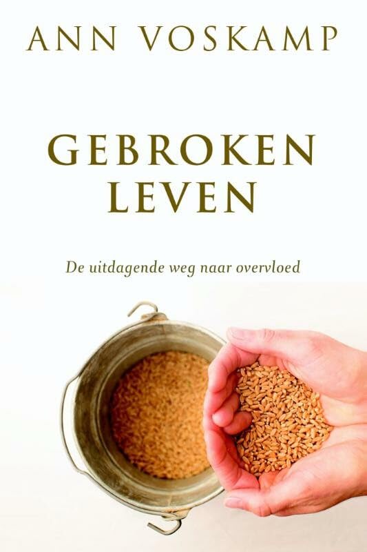 Gebroken leven: de uitdagende weg naar overvloed book