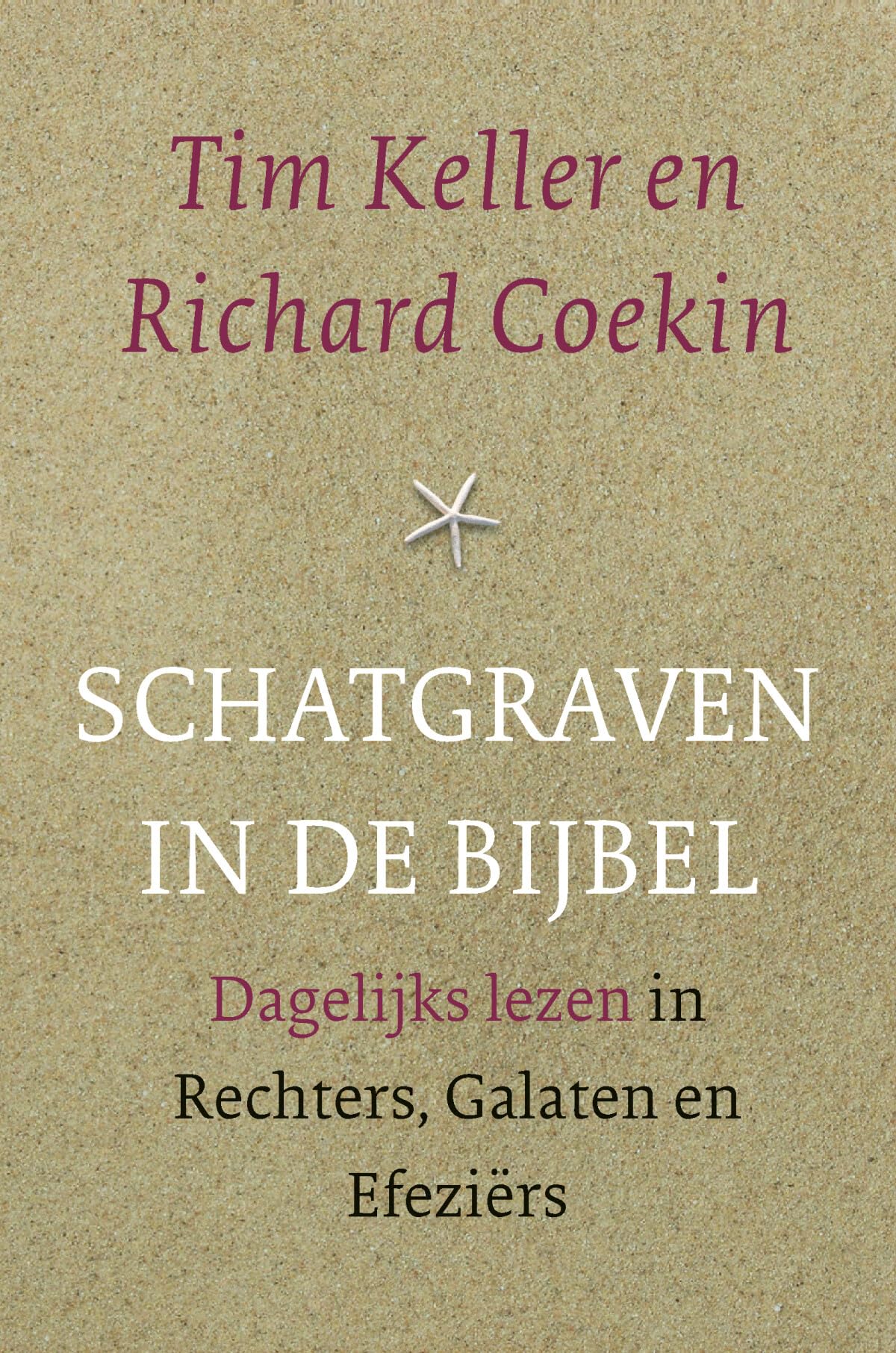 Schatgraven in de Bijbel: dagelijks lezen in Rechters, Galaten en Efeziërs book