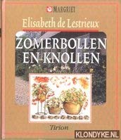 Zomerbollen en knollen (Bloemen en planten) Leisure, Home & Garden