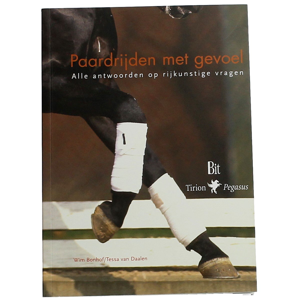 Paardrijden met gevoel: alle antwoorden op rijkunstige vragen book