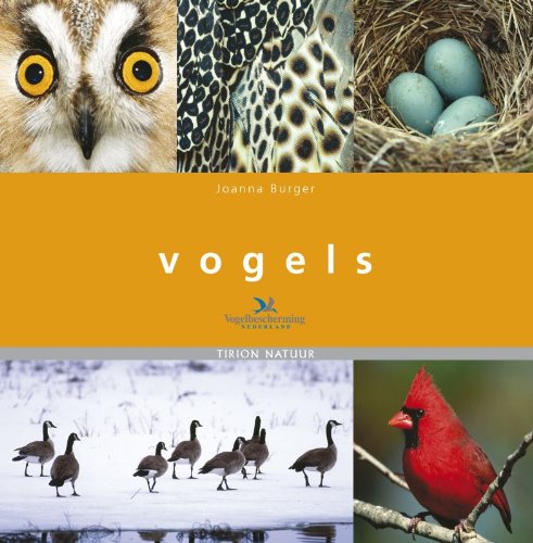 Vogels: een topboek voor iedere vogelliefhebber Leisure, Home & Garden