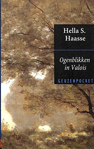 OGENBLIKKEN IN VALOIS POCKET book