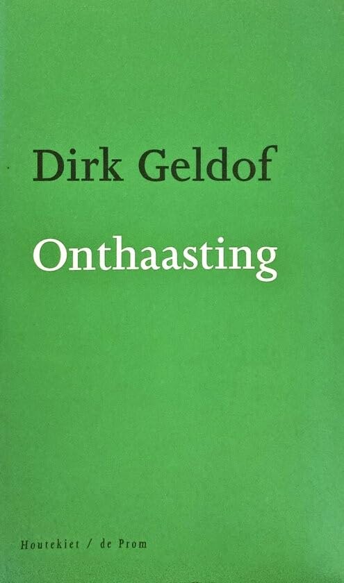Onthaasting: op zoek naar tijd in een risicomaatschappij book