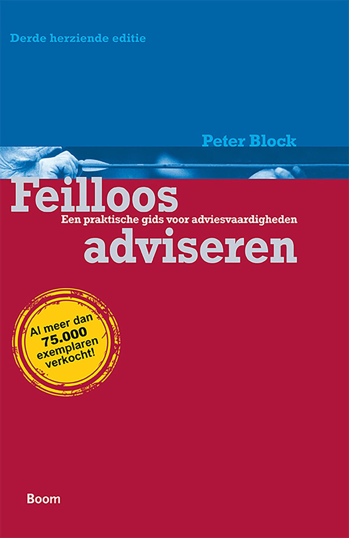 Feilloos adviseren: een praktische gids voor adviesvaardigheden Business, Finance & Career