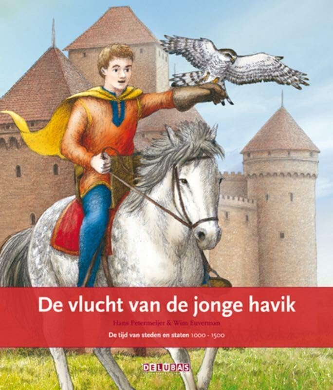 De vlucht van de jonge havik: de tijd van steden en staten book
