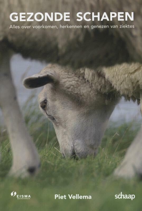 Gezonde schapen: alles over voorkomen, herkennen en genezen van ziektes book