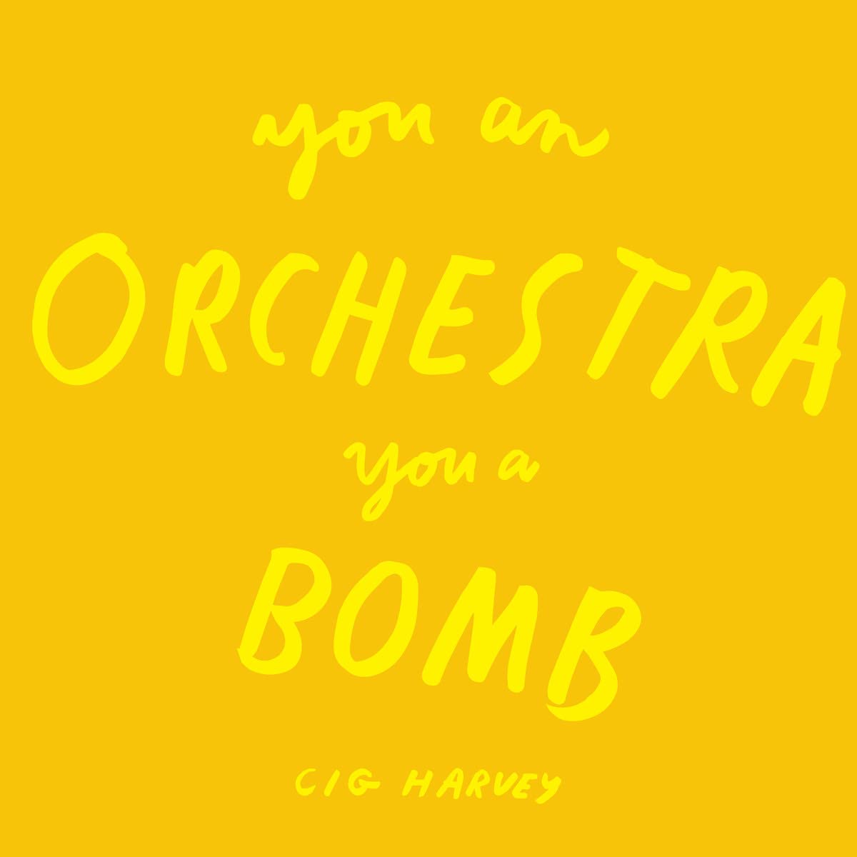 Cig Harvey You An Orchestra You A Bomb Photography