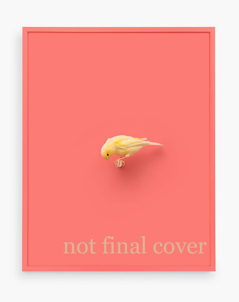 Ten by Ten: The Best Portfolios of Fotofest's Meeting Place Travel Books