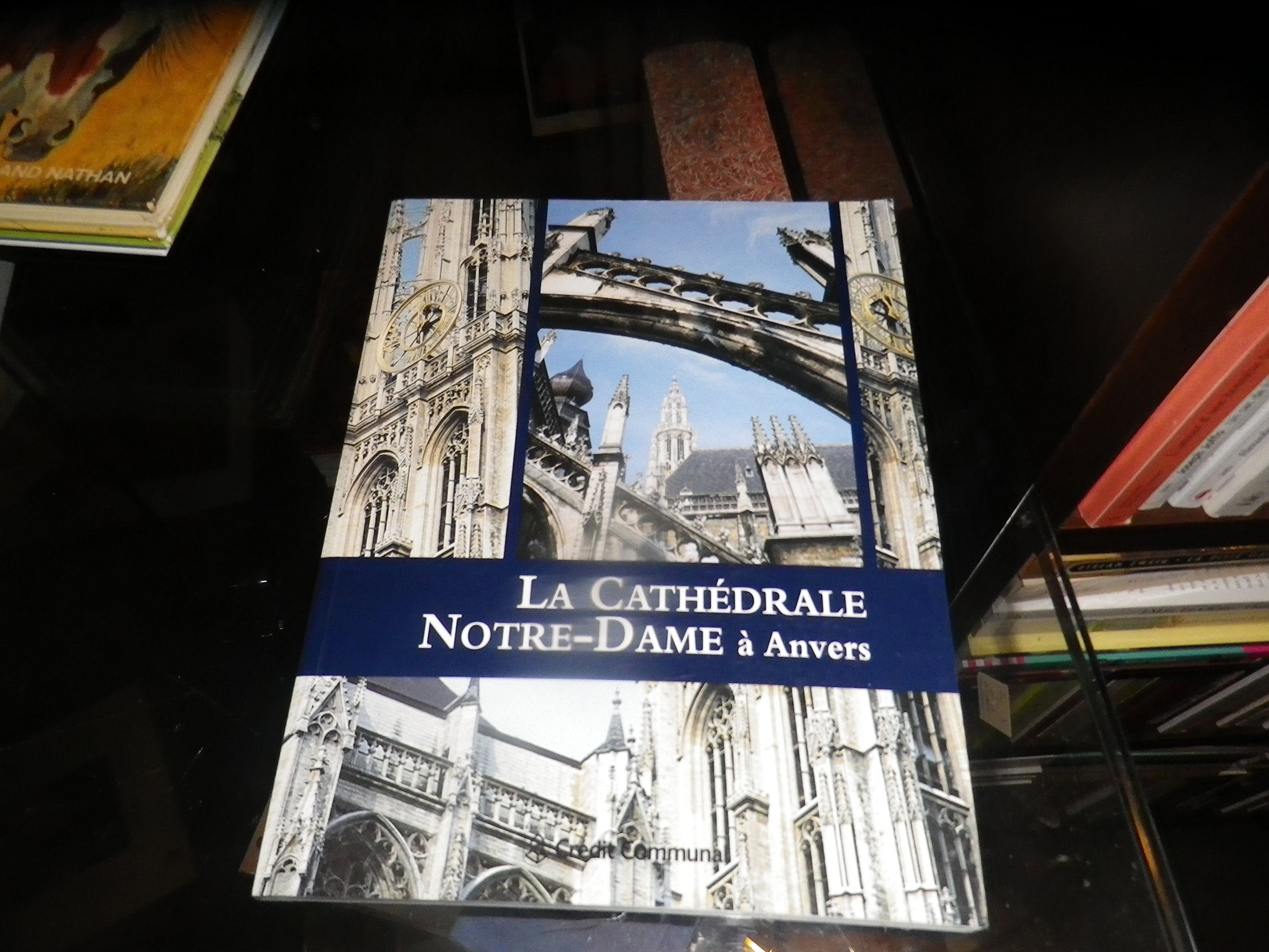 La Cathédrale Notre-Dame à Anvers Books
