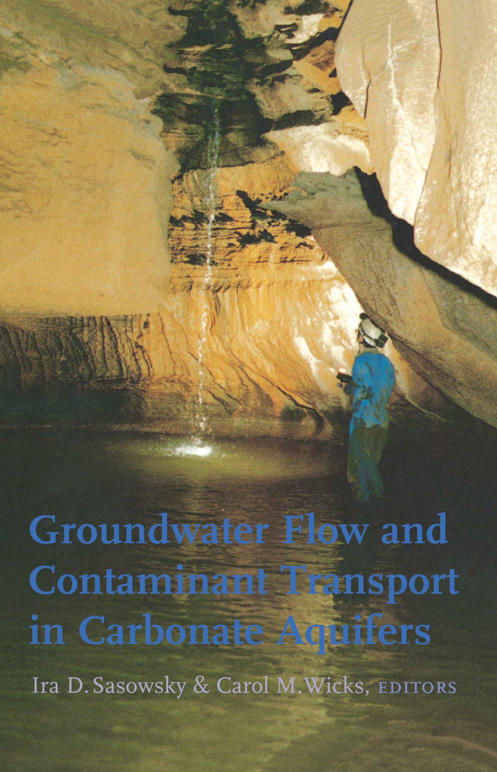 Groundwater Flow and Contaminant Transport in Carbonate Aquifers Business & Technology