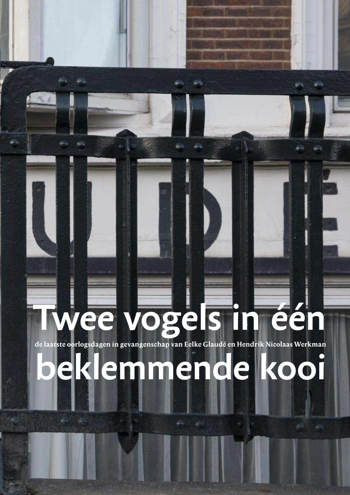 Twee vogels in één beklemmende kooi: de laatste oorlogsdagen in gevangenschap van Eelke Glaudé en Hendrik Nicolaas Werkman book