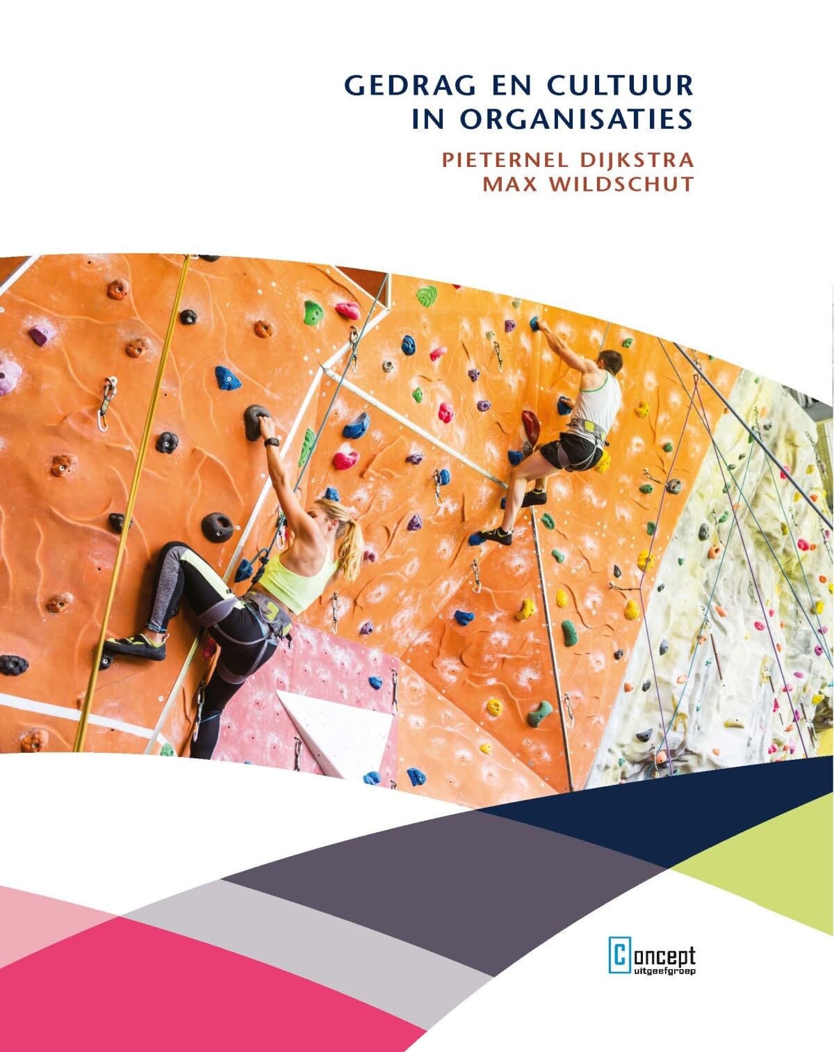 Gedrag en cultuur in organisaties book
