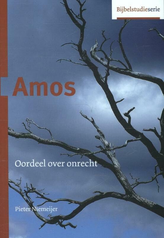 Amos: oordeel over onrecht (Bijbel en kerk) Books