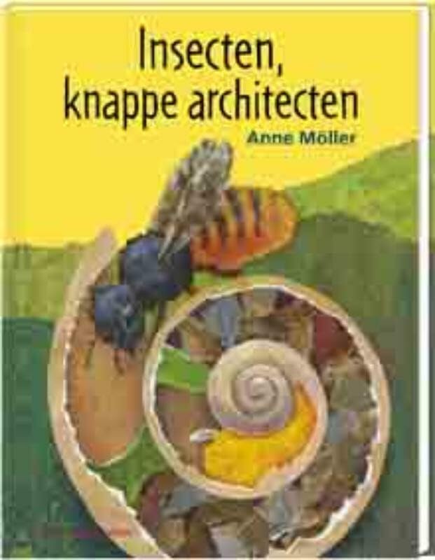 Insecten, knappe architecten: hoe insecten voor hun kinderen zorgen book