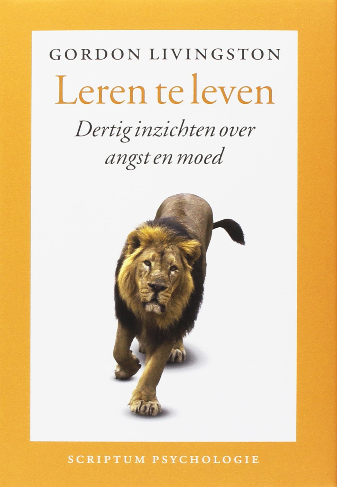 Leren te leven: dertig inzichten over angst en moed book