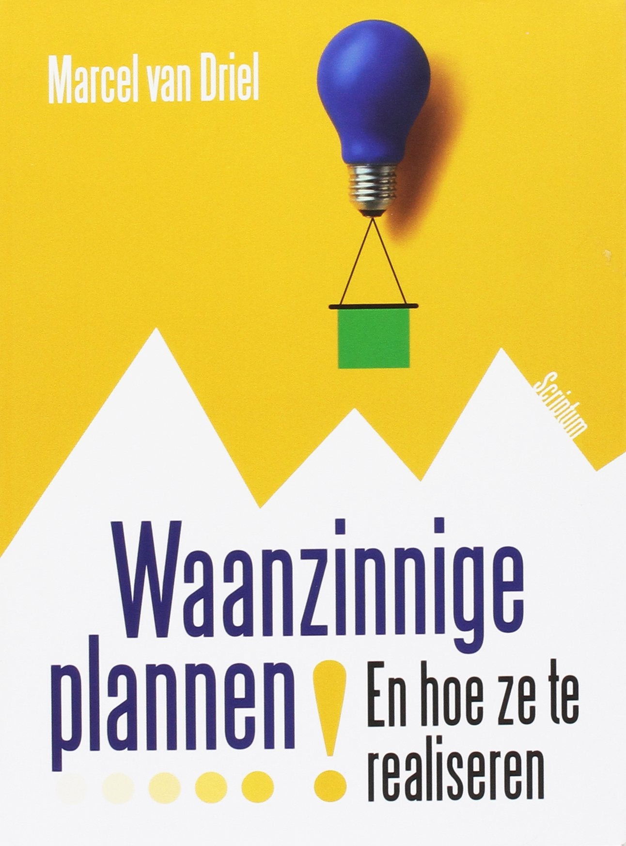 Waanzinnige plannen!: en hoe ze te realiseren book