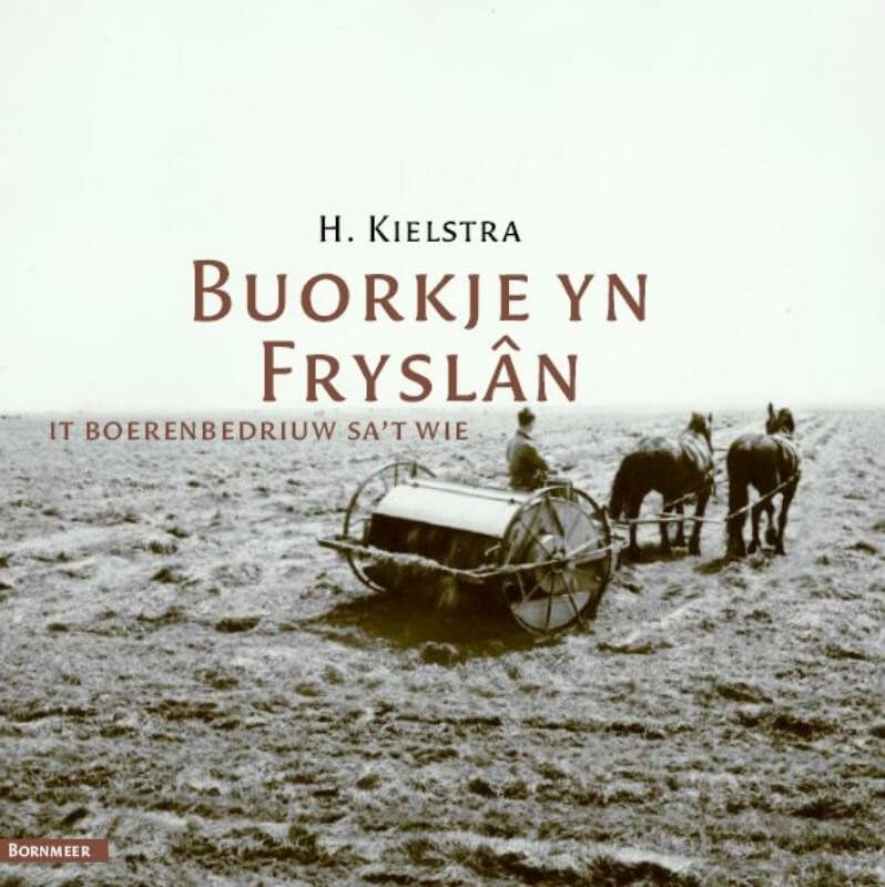 Buorkje yn Fryslân: in skets fan it boerelibben yn'e tweintichste ieu Books