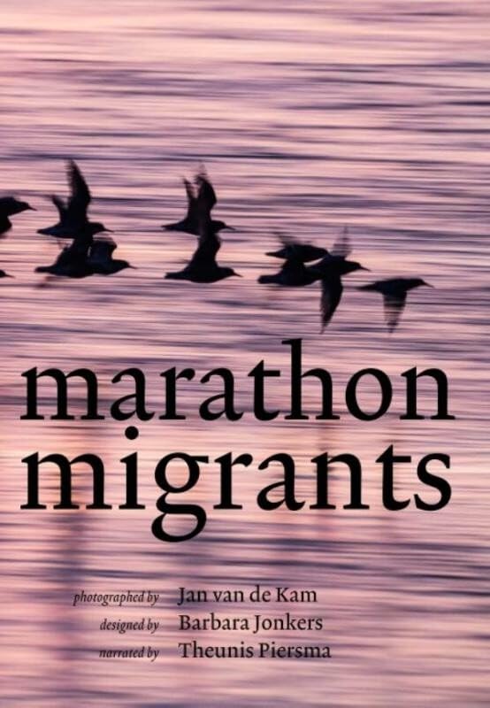 Marathon migrants: celebrating the birds that connect places and people across the planet Mathematics