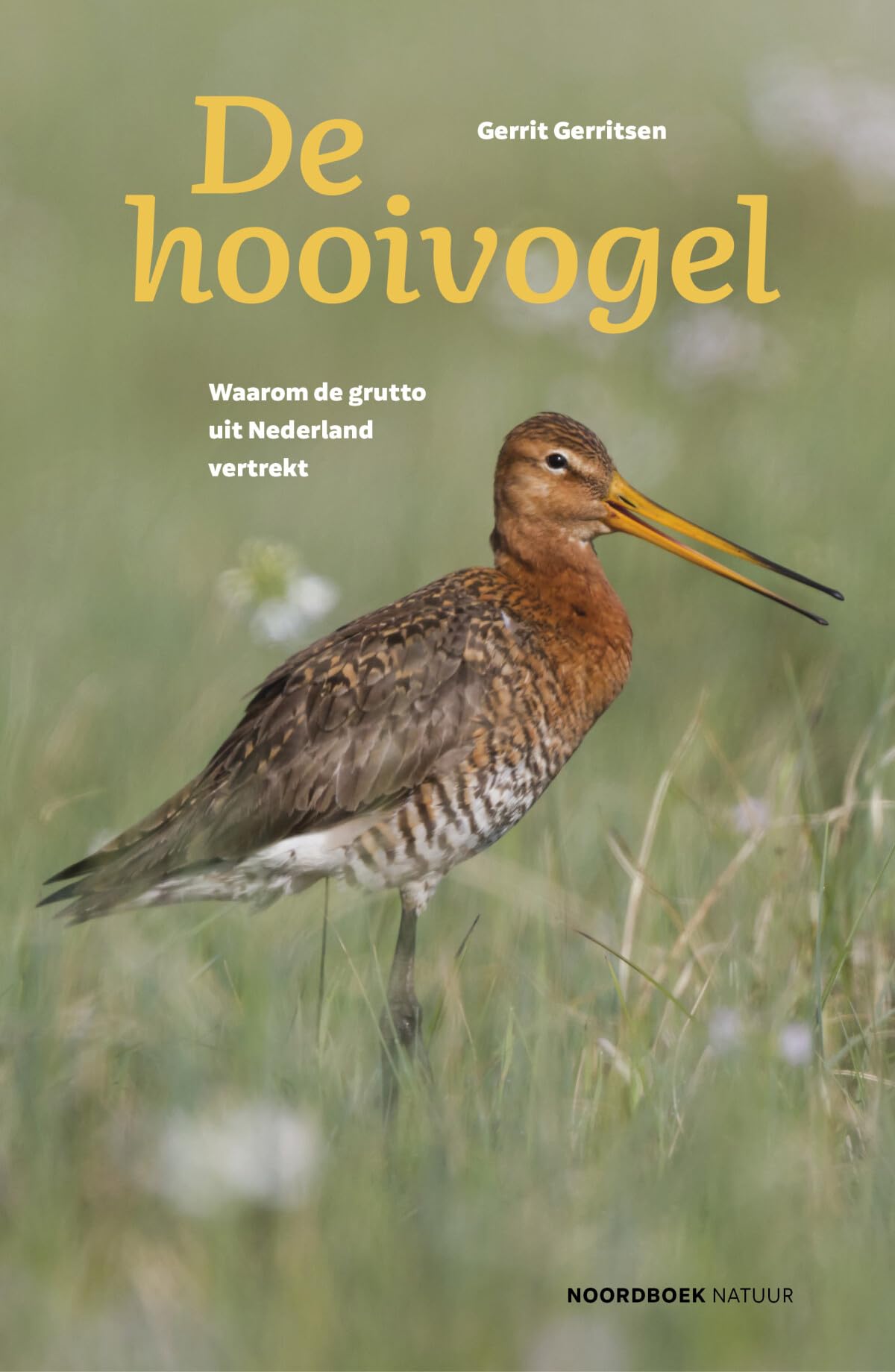 De hooivogel: waarom de grutto uit Nederland vertrekt book