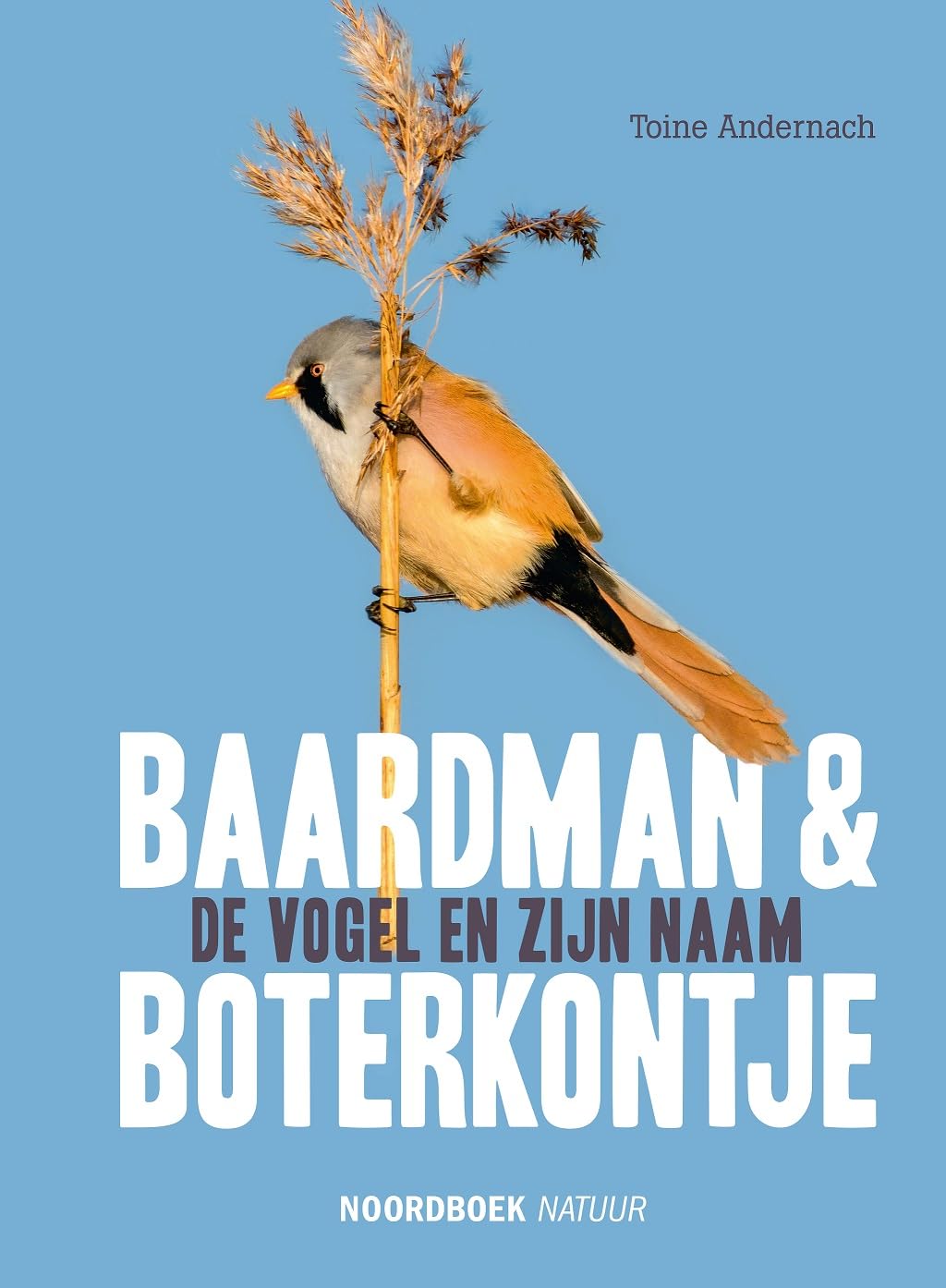 Baardman & boterkontje: de vogel en zijn naam book