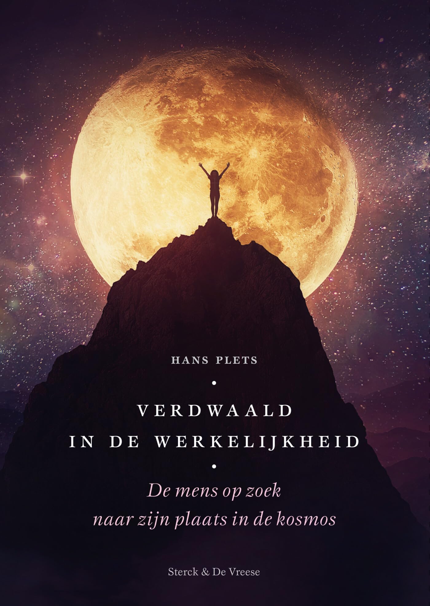 Verdwaald in de werkelijkheid: de mens op zoek naar zijn plaats in de kosmos book