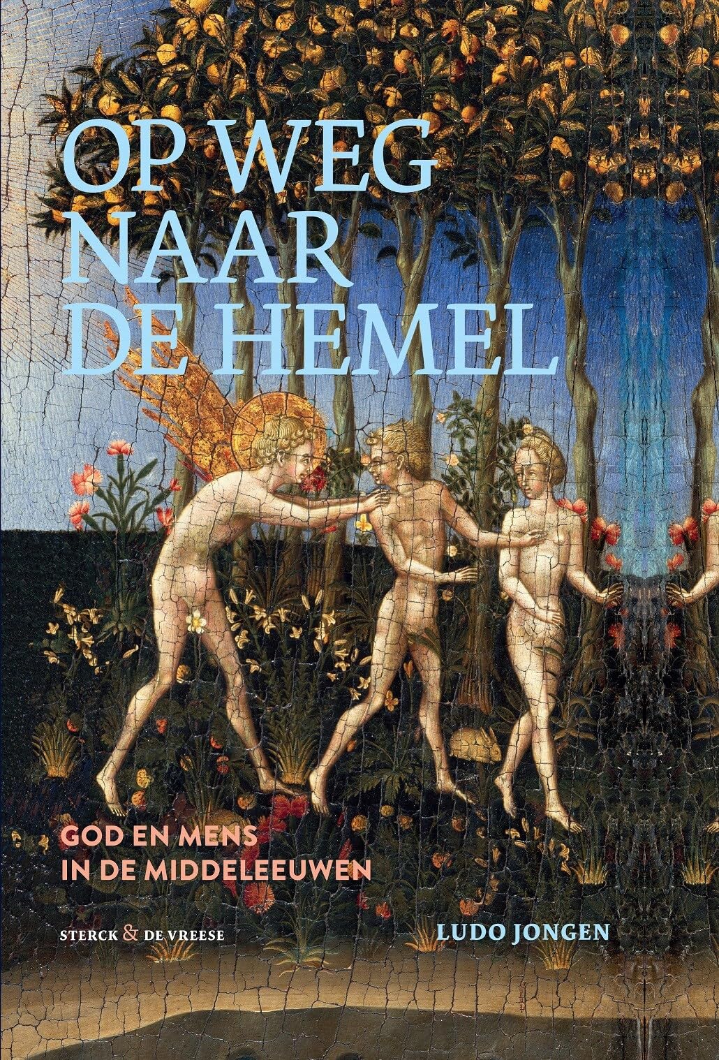 Op weg naar de hemel: God en mens in de middeleeuwen book