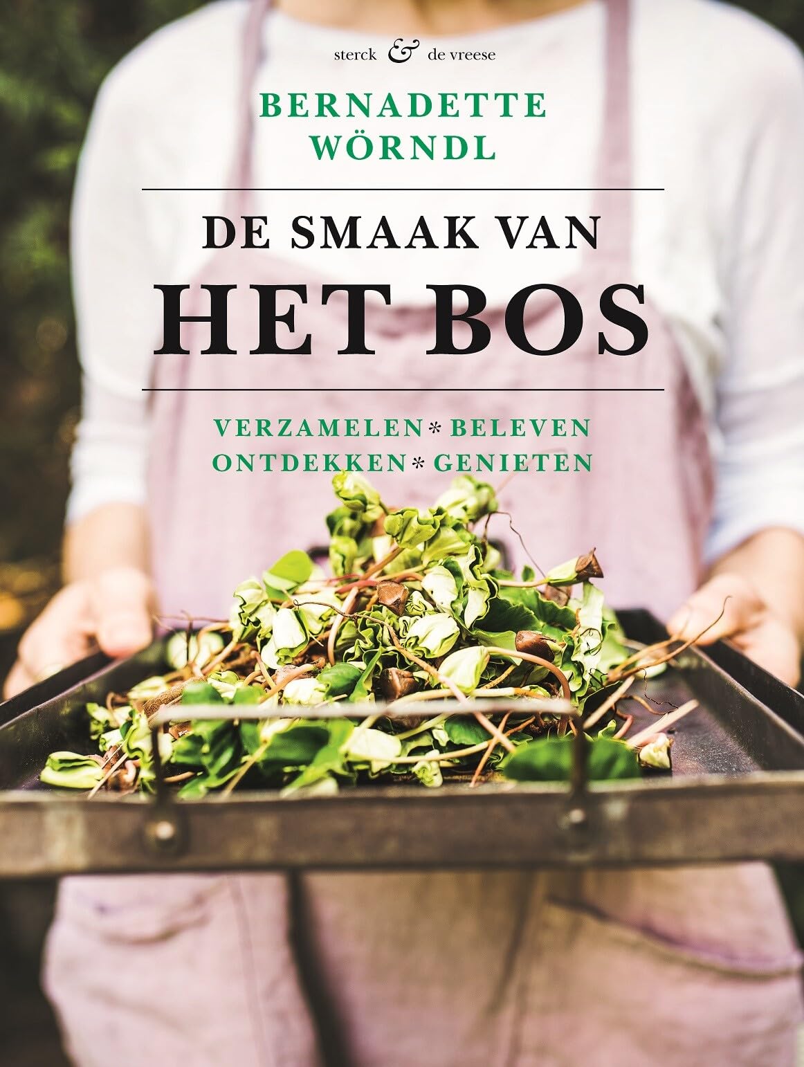 De smaak van het bos: verzamelen, beleven, ontdekken, genieten book