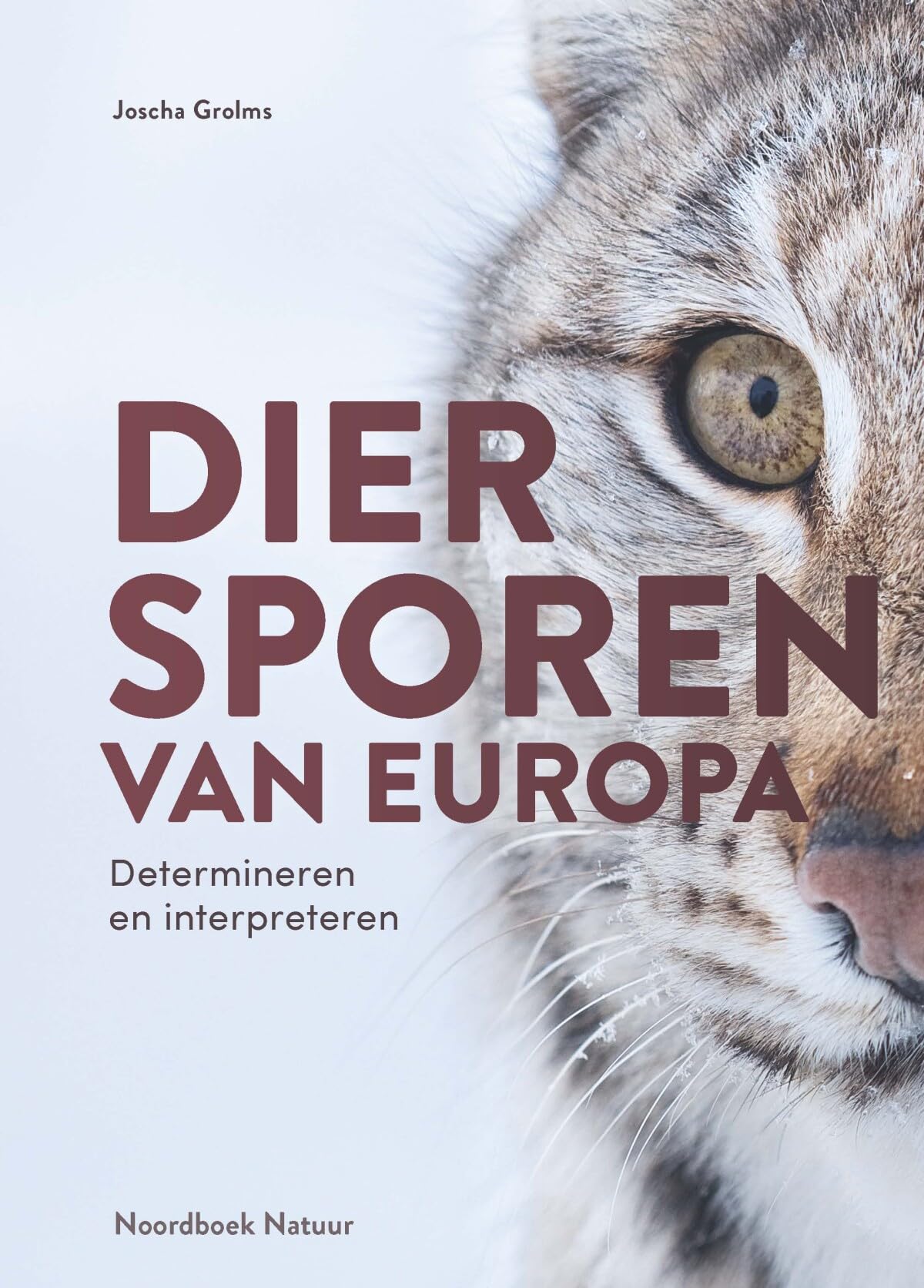 Diersporen van Europa: prenten en andere sporen herkennen en duiden : met prenten en sporen van zoogdieren, vogels, reptielen, amfibieën, insecten en andere ongewervelden book