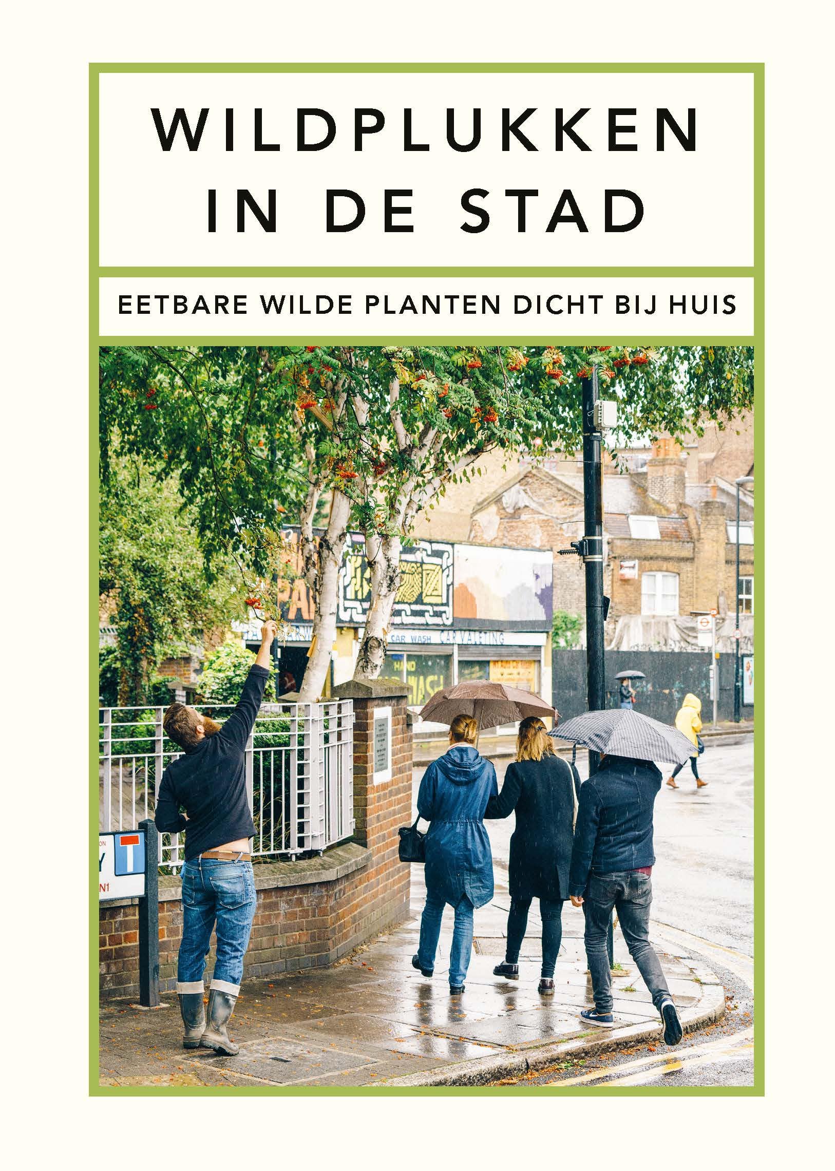 Wildplukken in de stad: eetbare wilde planten dicht bij huis book