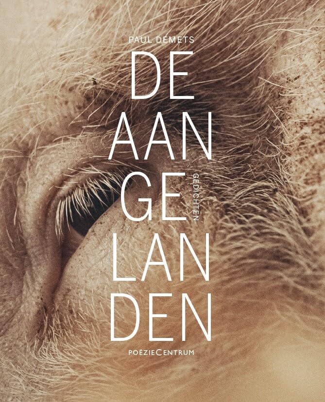 De aangelanden: gedichten book