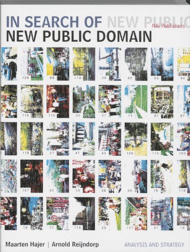 In Search of New Public Domain: Analysis and Strategy Architecture