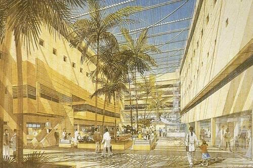 The Architecture of Hospitals book