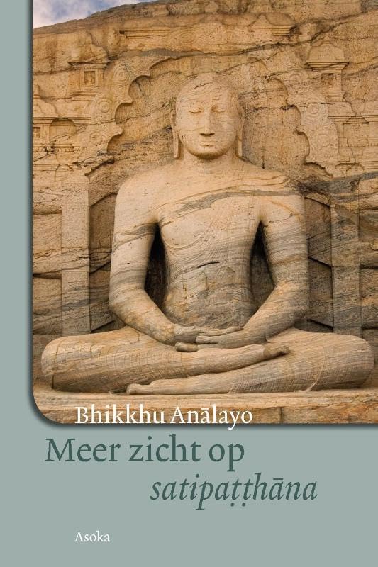 Meer zicht op Satipatthana book