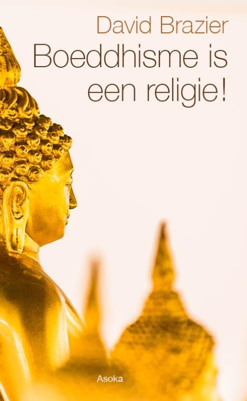 Boeddhisme is een religie!: geloof het maar book