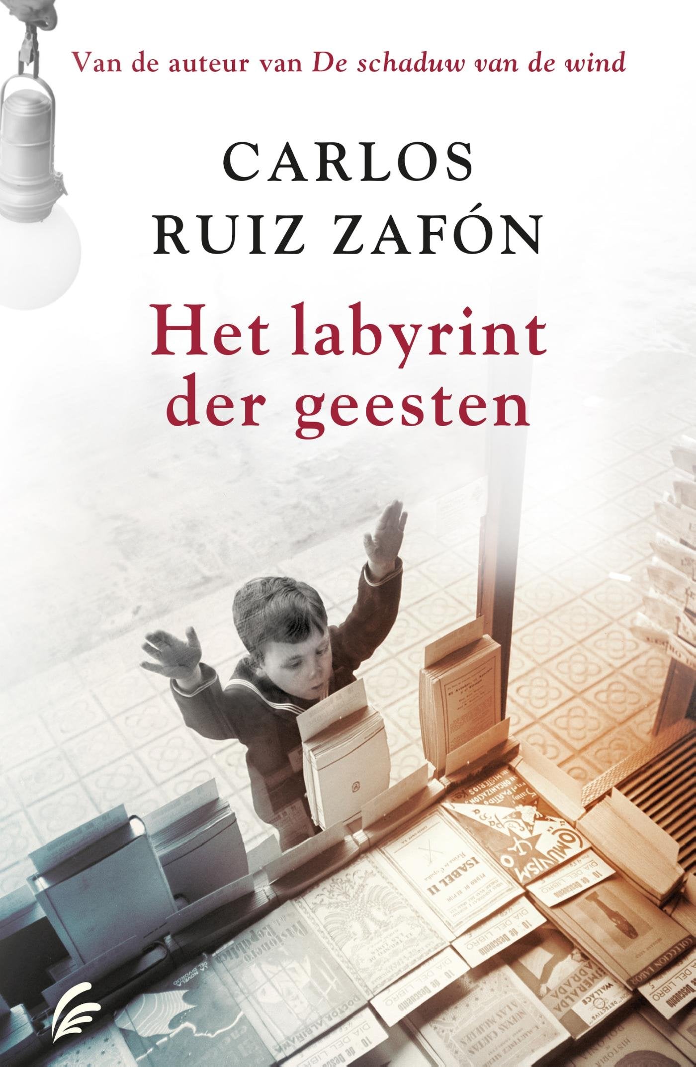 Het labyrint der geesten book