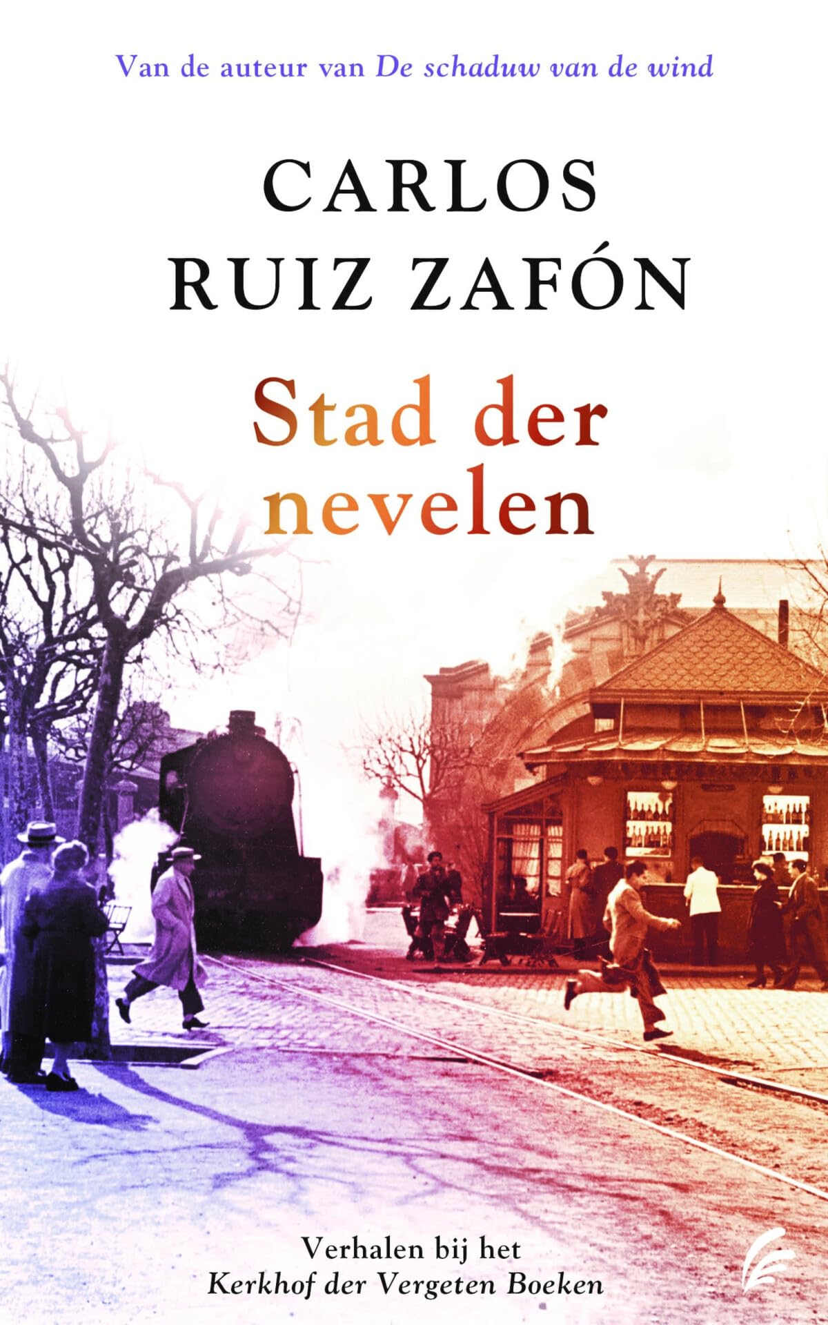 Stad der nevelen: verhalen bij Het kerkhof der vergeten boeken Essays & Short Stories