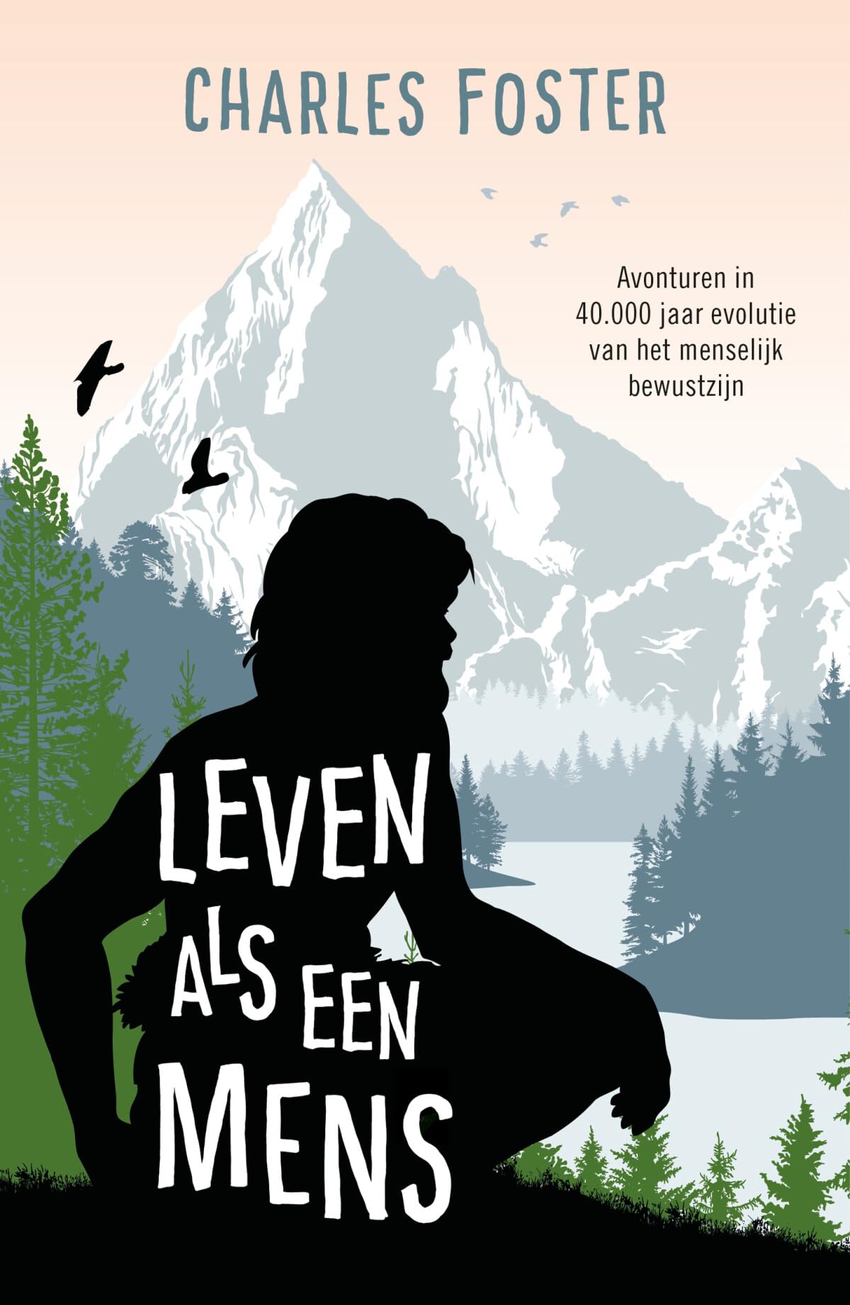 Leven als een mens: avonturen in 40.000 jaar ontwikkeling van ons bewustzijn book