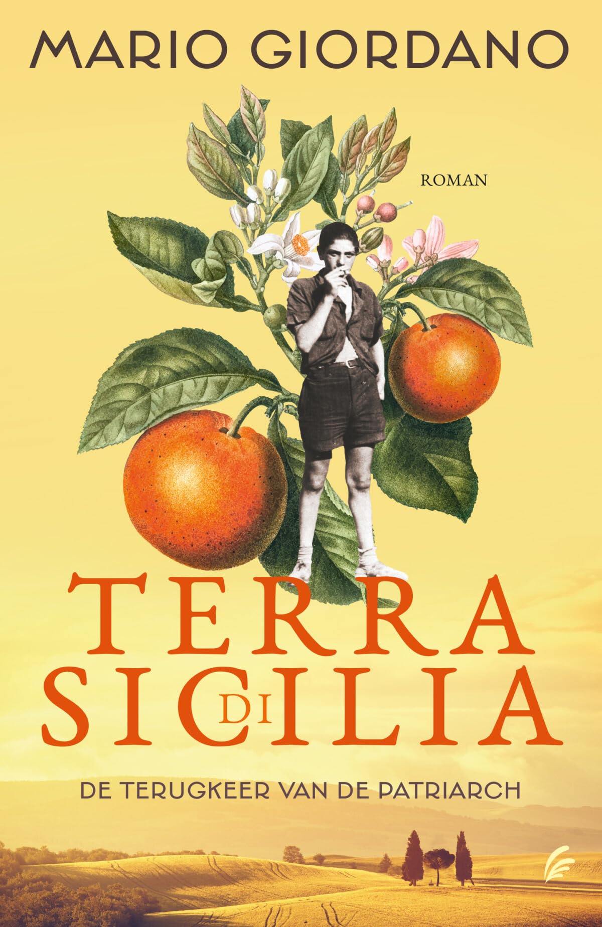 De terugkeer van de patriarch (Terra di Sicilia, 1) Contemporary literature
