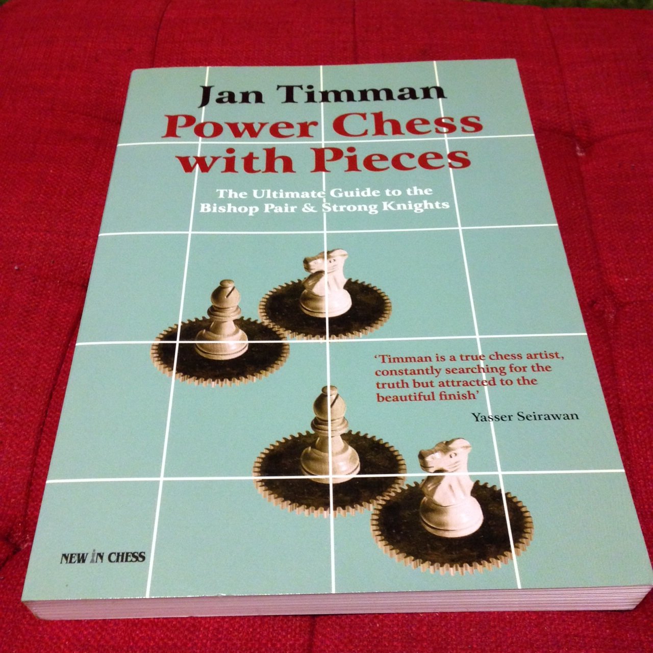 Power Chess With Pieces: The Ultimate Guide to the Bishop Pair & Strong Knights: The Ultimate Guide to the Bishop Pair and Strong Knights Leisure & Fun