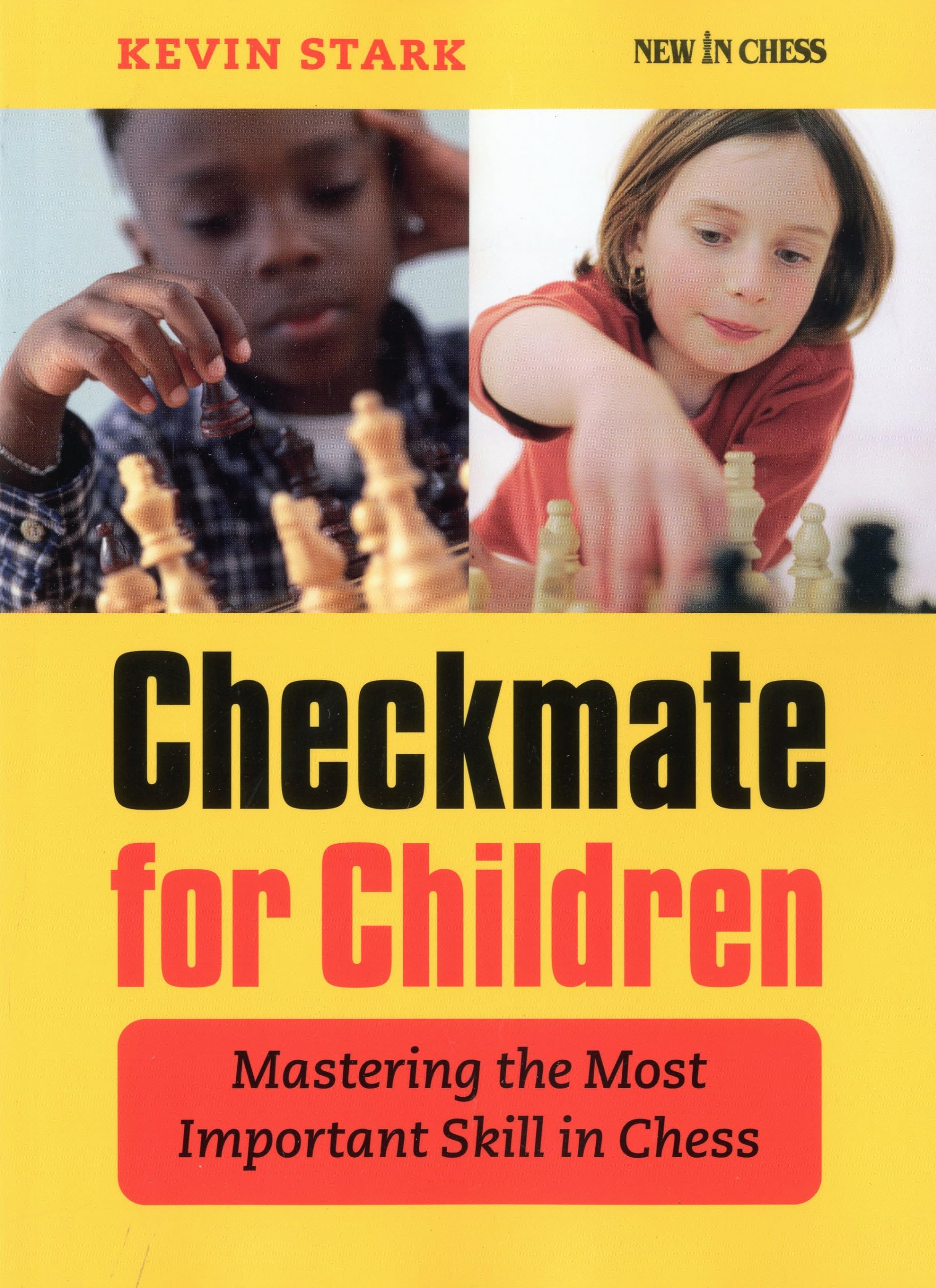 Checkmate for Children: Mastering the Most Important Skill in Chess Leisure & Fun