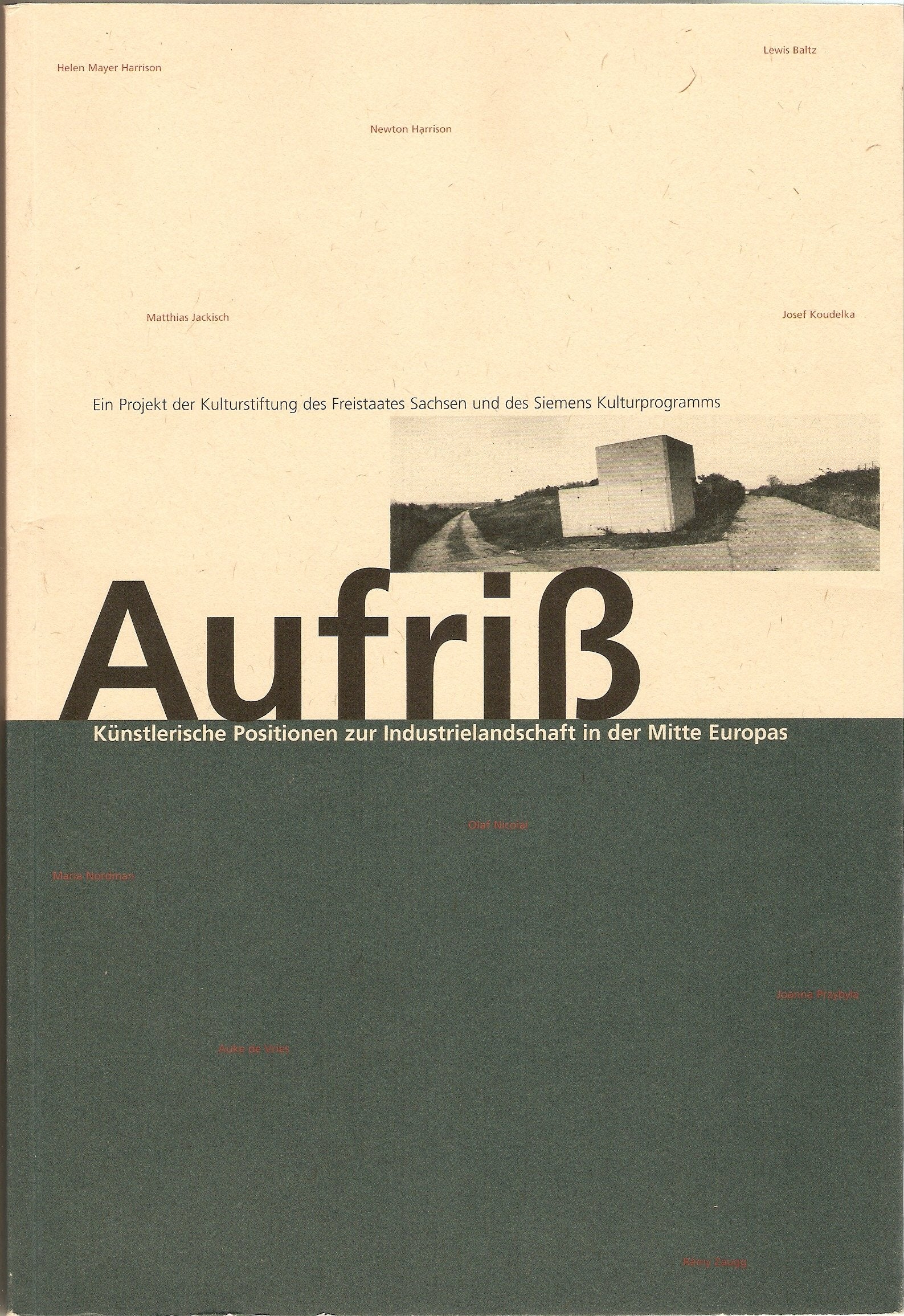 Aufriß: Künstlerische Positionen zur Industrielandschaft in der Mitte Europas. Ausstellung Grassimuseum, Leipzig Mai - Juli 1997. Ein Projekt d. ... Sachsen u. d. Siemens Kulturprogramms Books