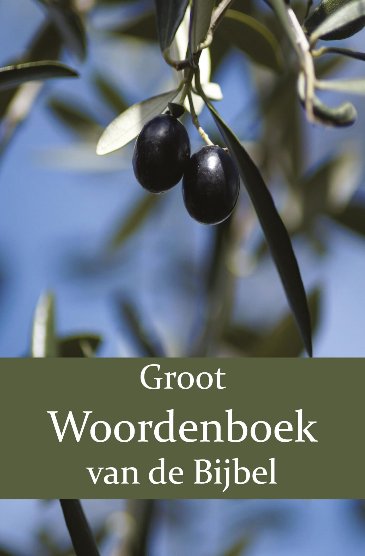 Groot Woordenboek van de Bijbel A-H: Eerste Deel book