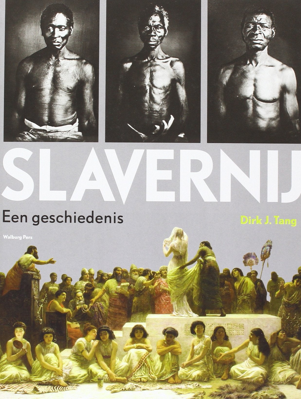 Slavernij: een geschiedenis book