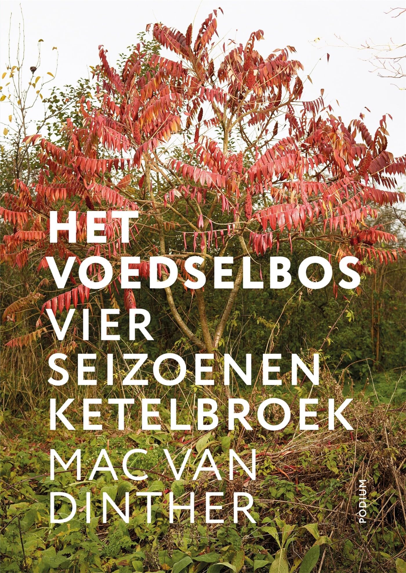 Het voedselbos: vier seizoenen Ketelbroek book