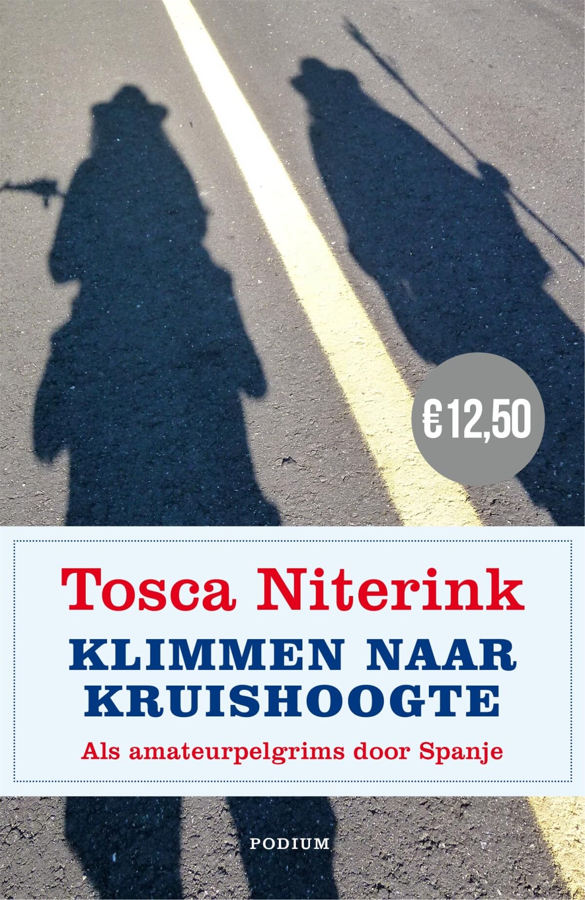Klimmen naar kruishoogte: als amateurpelgrims door Spanje book