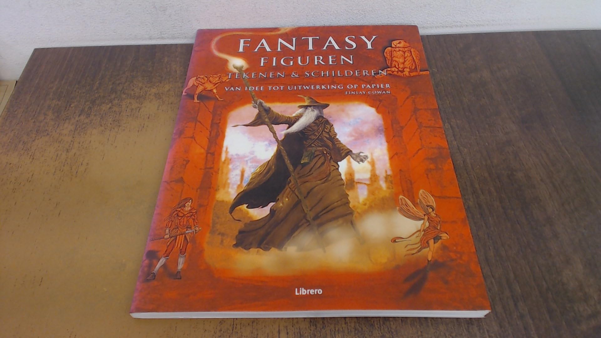 Fantasy figuren tekenen en schilderen: van idee tot uitwerking book